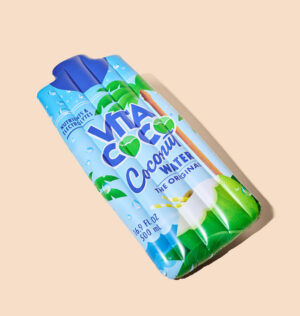 Reversible Coconut Water Floatie